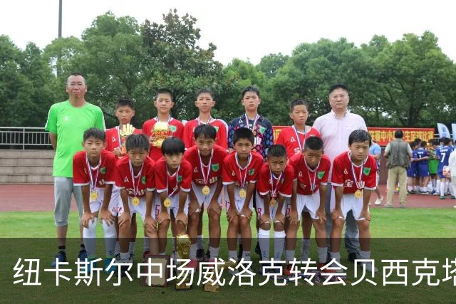 纽卡斯尔中场威洛克转会贝西克塔斯报价达成谈判